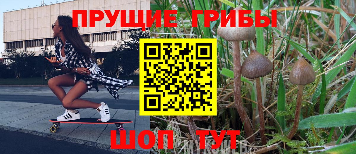Сургут  Псилоцибиновые грибы прущие грибы  Вход с VPN  Галлюциногенные грибы ЛСД 